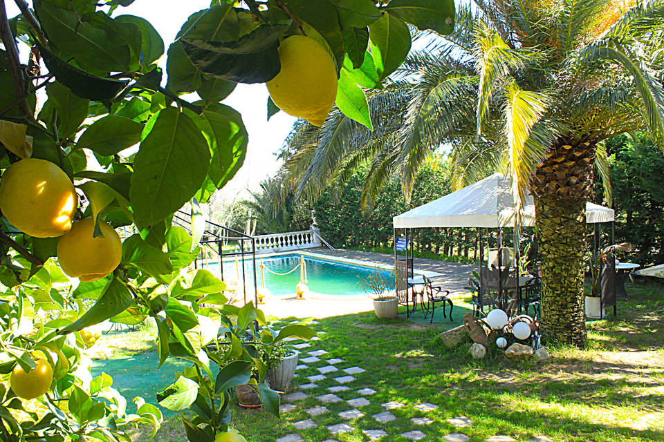 Magische Villa zu verkaufen mit einem schönen Swimmingpool riesiger Garten costa brava kaufen Verkauf von Immobilien entercasa catalunya