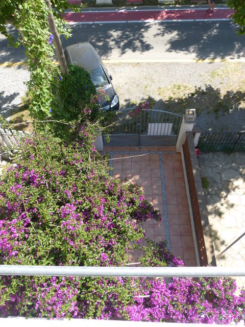 Terraced house for sale just 100m from the beach, with pleasant views of the green plantation of the shore of the Muga Spain Entercasa Empuriabrava