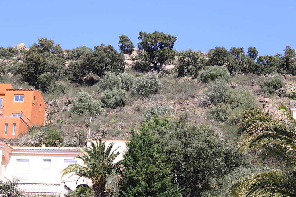Superb building plot with magnificent sea country and mountain views in Mas Isaac Palau-Saverdera costa brava spain entercasa for sale