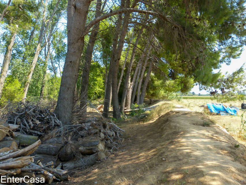 Ferme tranquille avec appartement indépendant dans les champs de l'Empordà. Idéal pour profiter du calme et de la beauté de la nature.