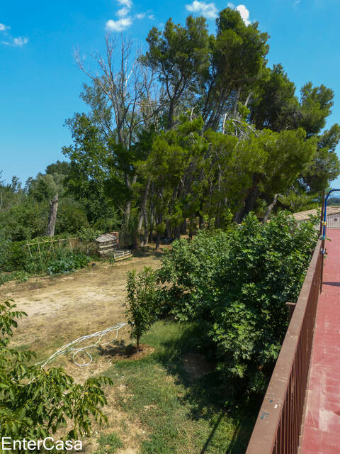 Ferme tranquille avec appartement indépendant dans les champs de l'Empordà. Idéal pour profiter du calme et de la beauté de la nature.