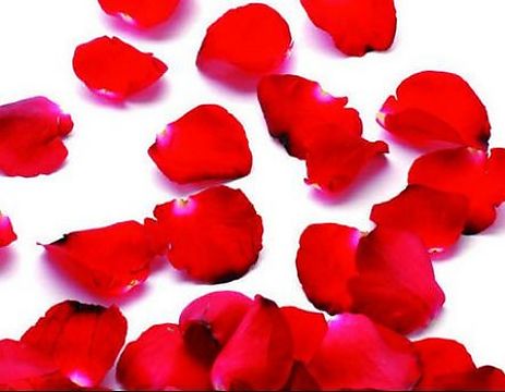 Fair of the Rose in Roses